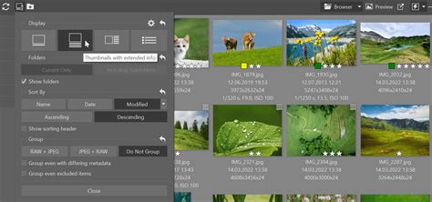 The ZPS X Spring Update: customization, speed, and new .